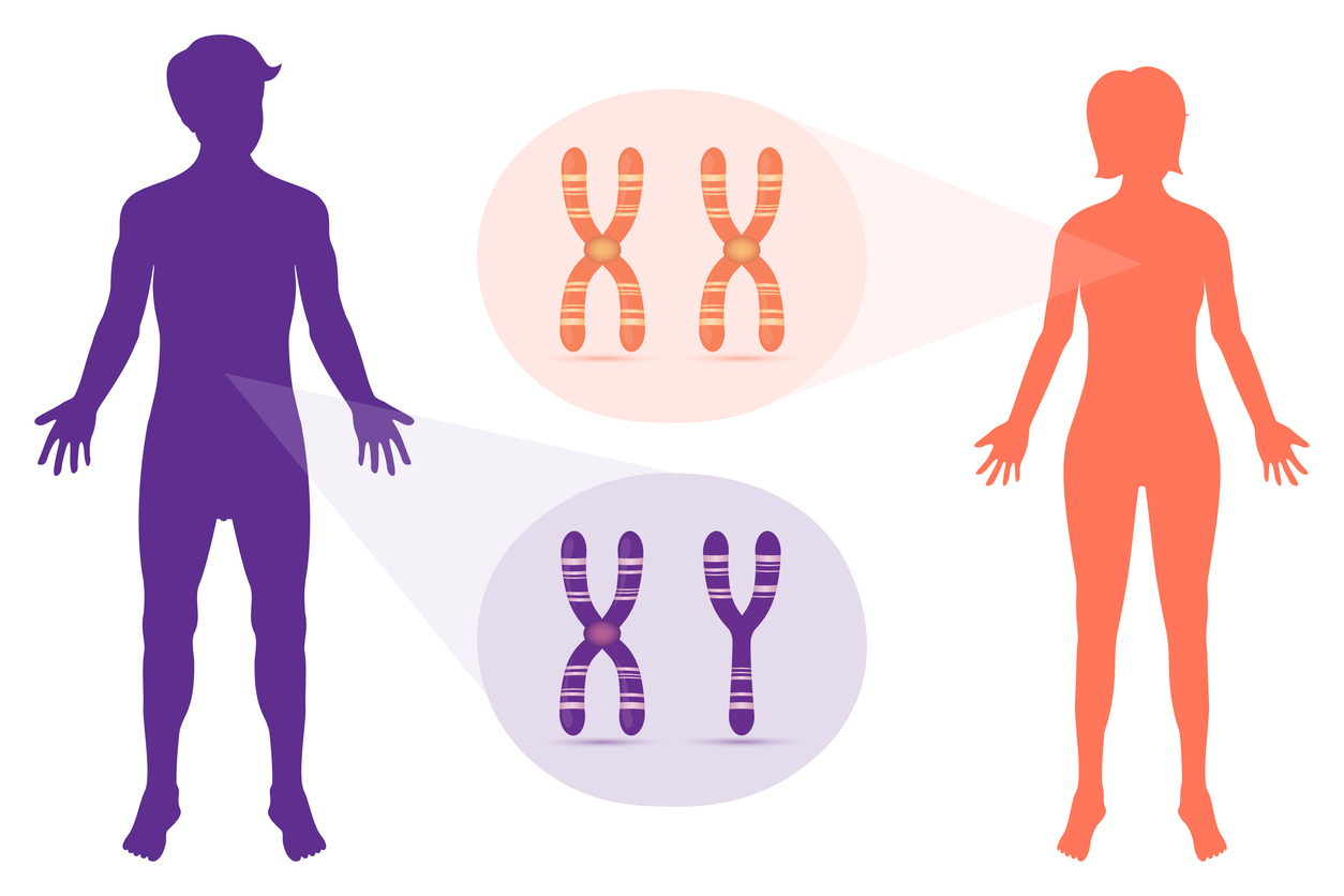 Genetic mechanisms underlying sexual dimorphism in cancer and response to therapy